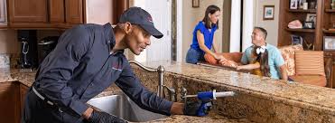 Best Real Estate Pest Inspections  in Scow Mills, MO